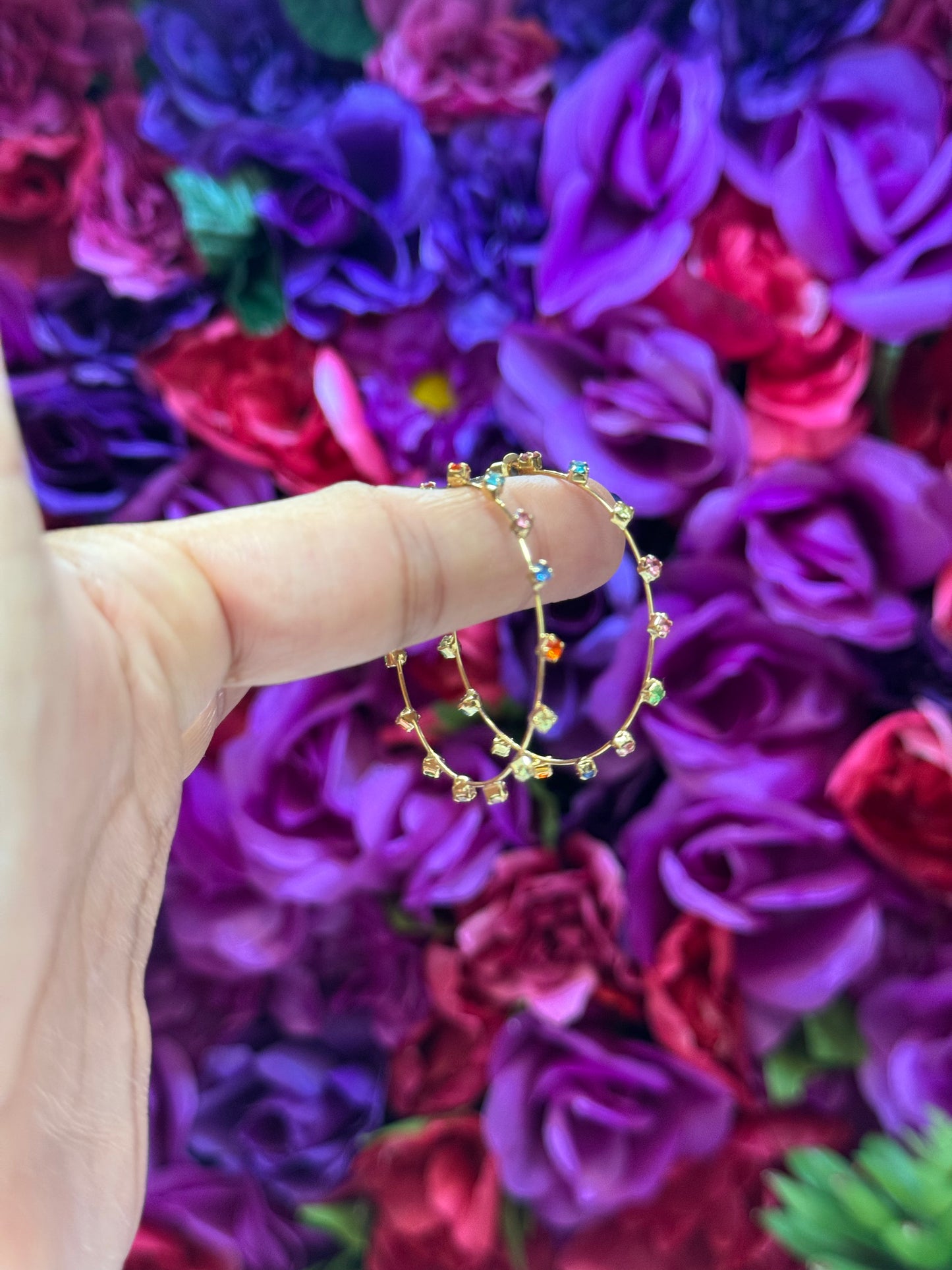Around the rainbow earrings
