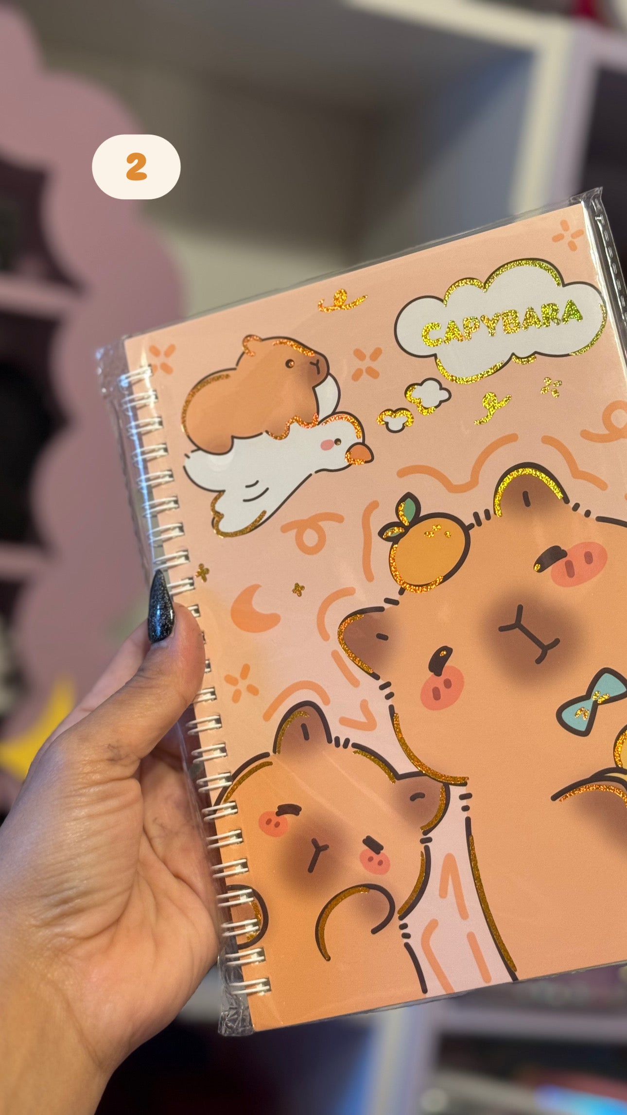 Capybara notebook
