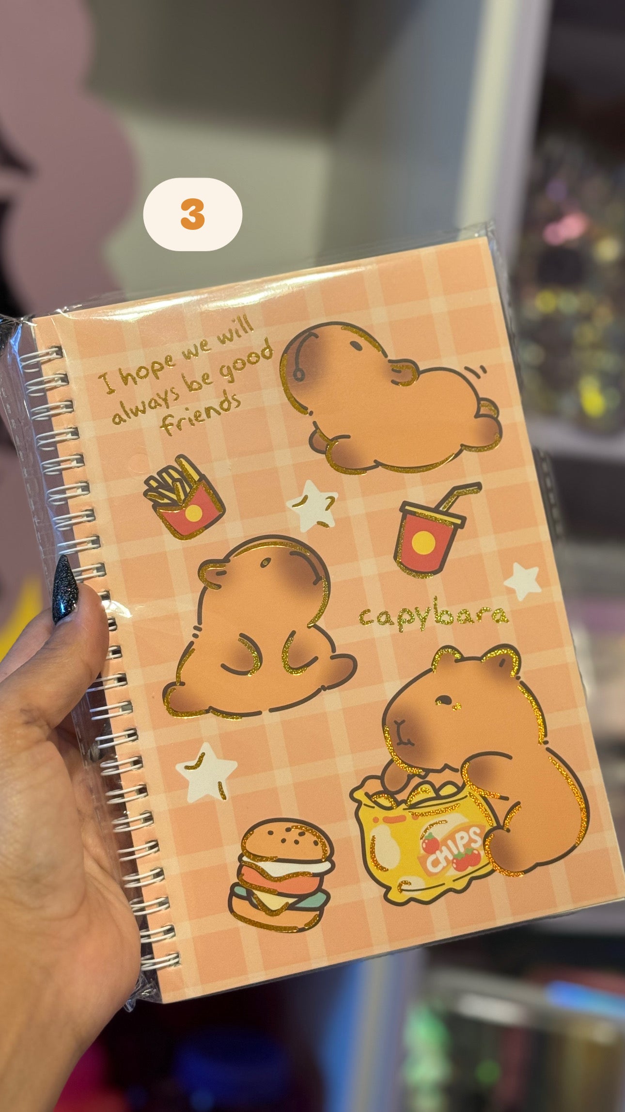 Capybara notebook
