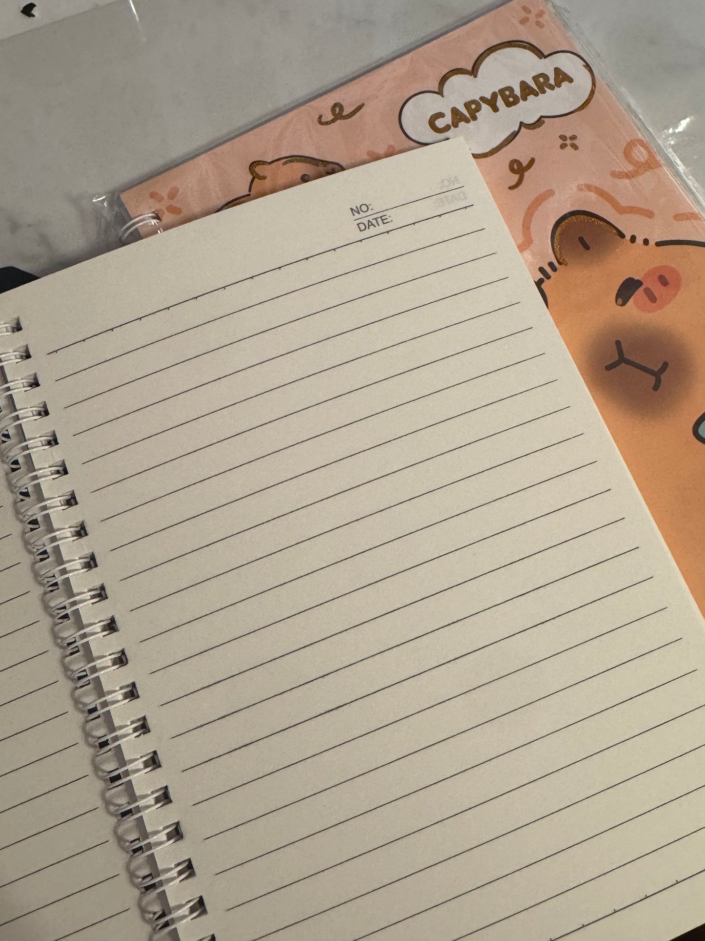 Capybara notebook