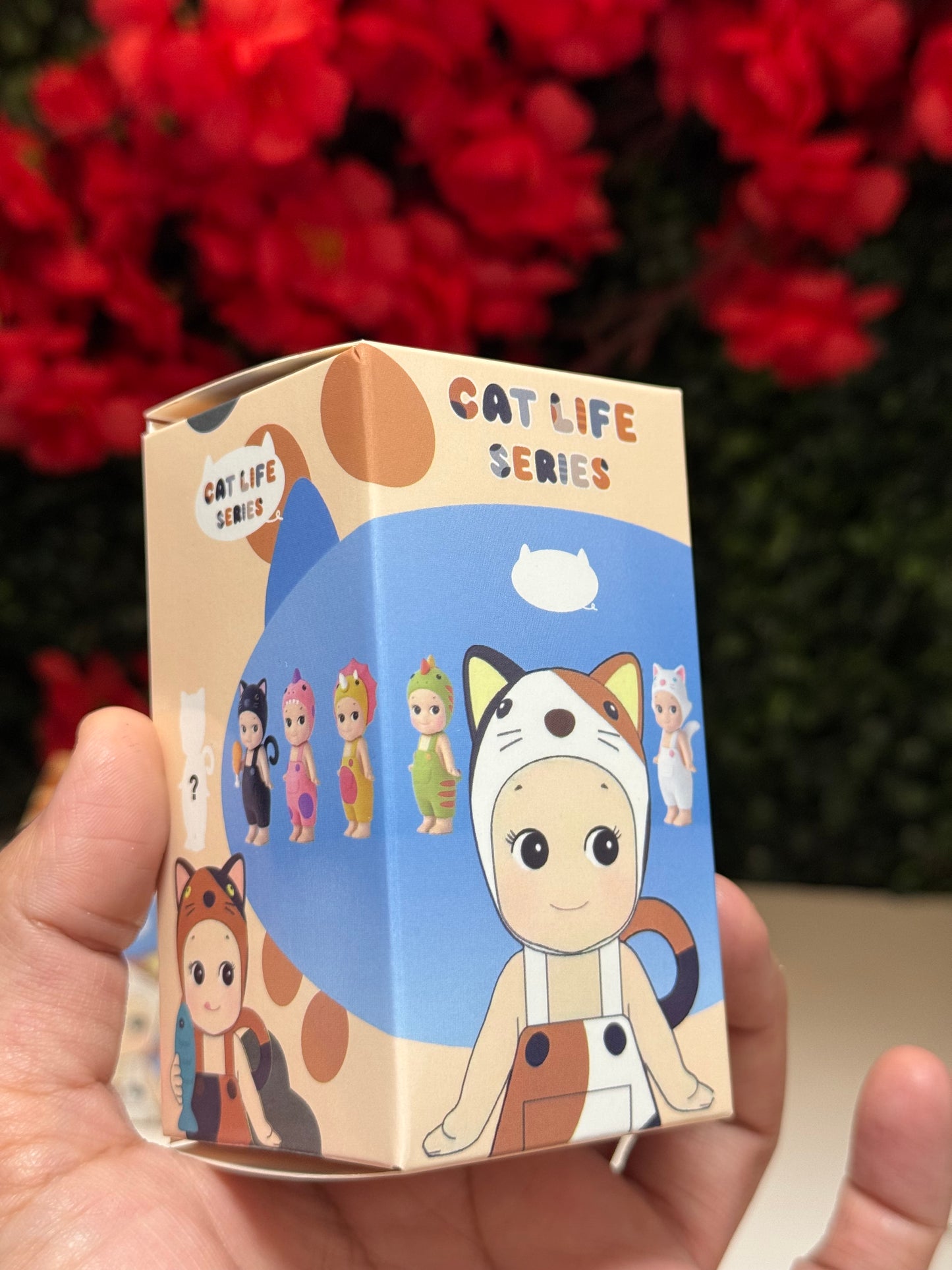 Cat life series angel