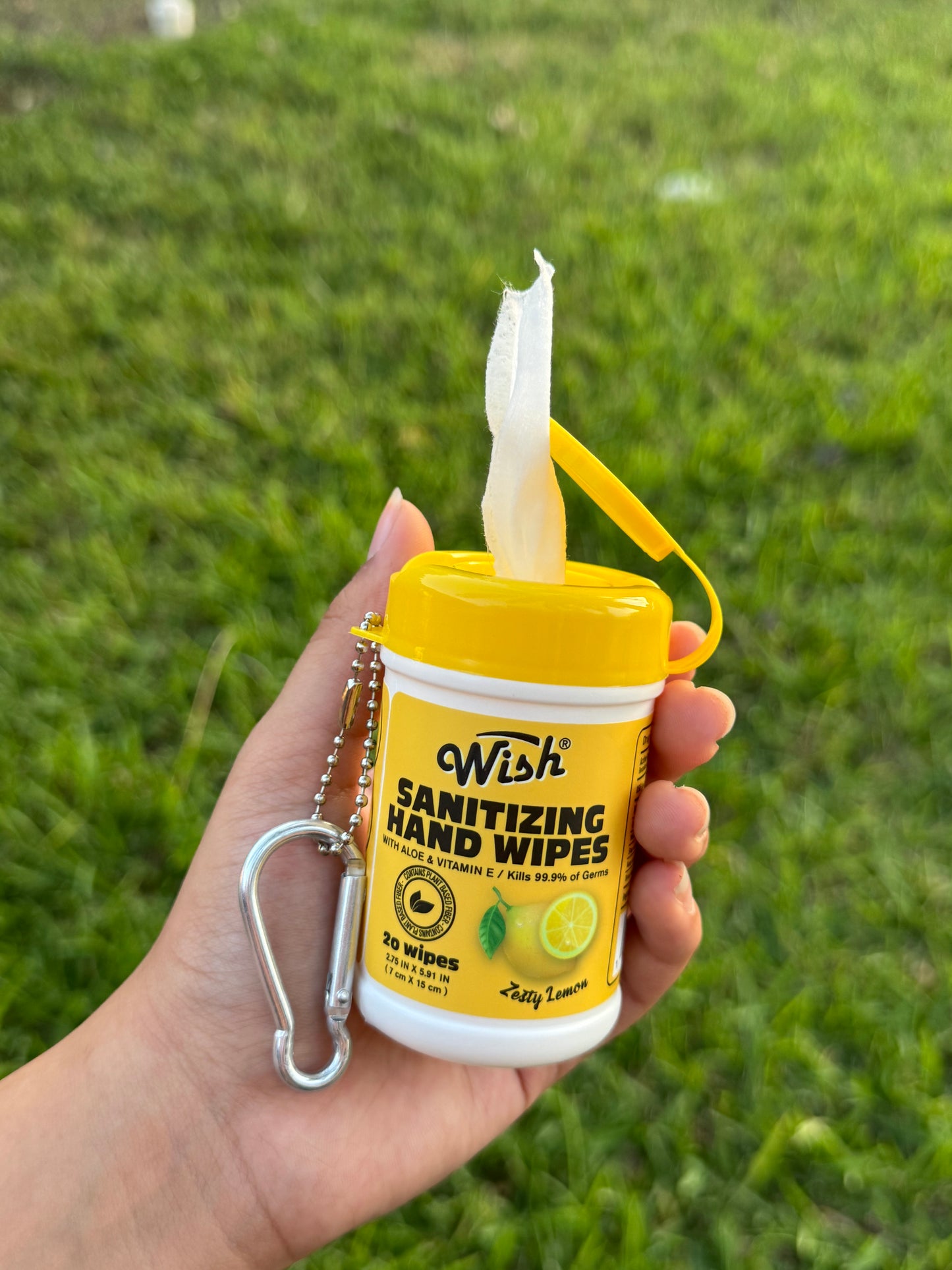 Hand sanitizer wipes