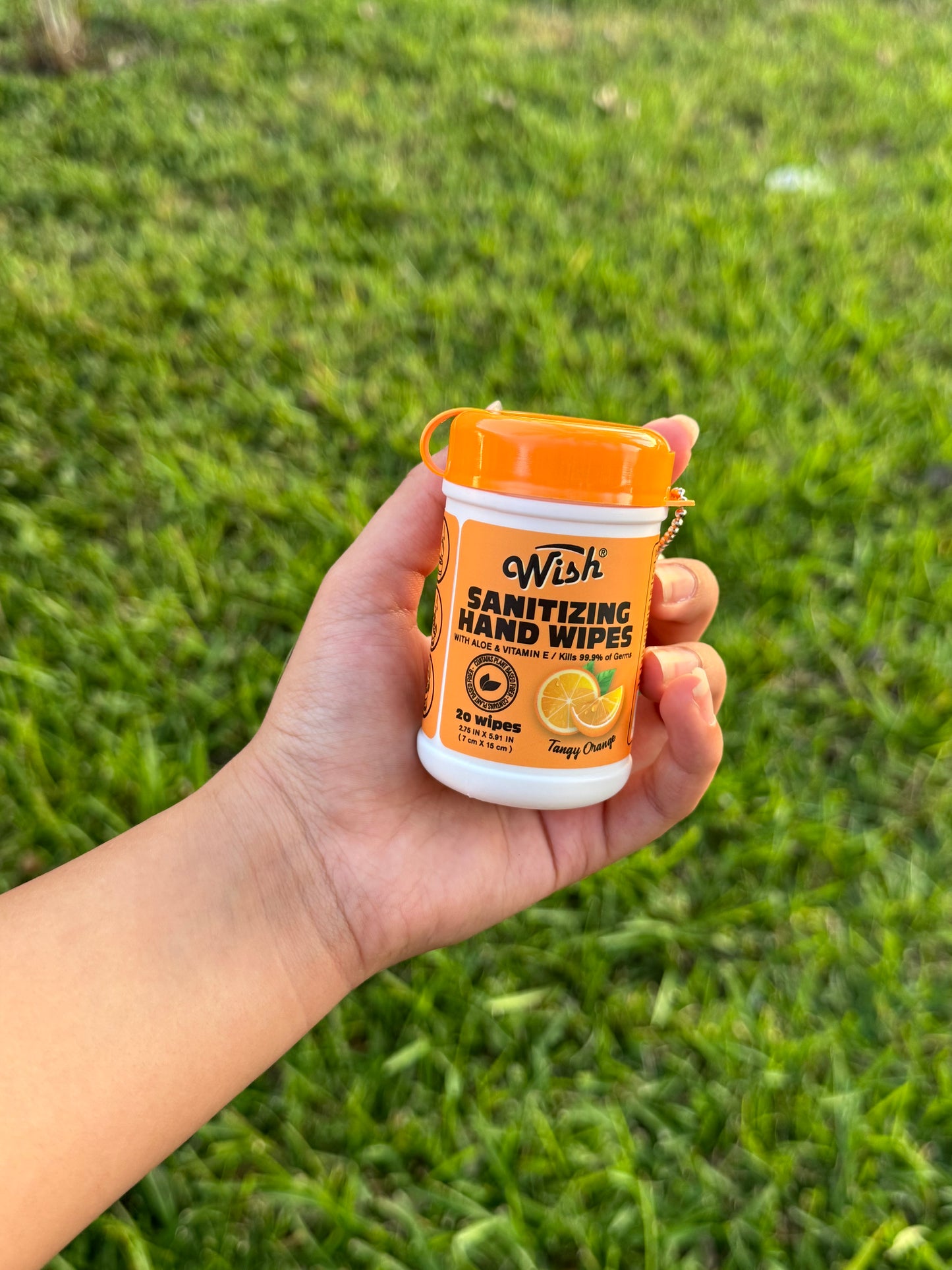 Hand sanitizer wipes